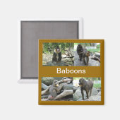 ヒヒ マグネット (正面/裏面)