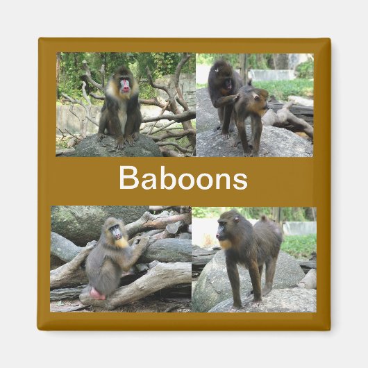 ヒヒ マグネット (正面)