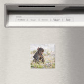 ヒヒ マグネット (インサイチュ (食洗機))