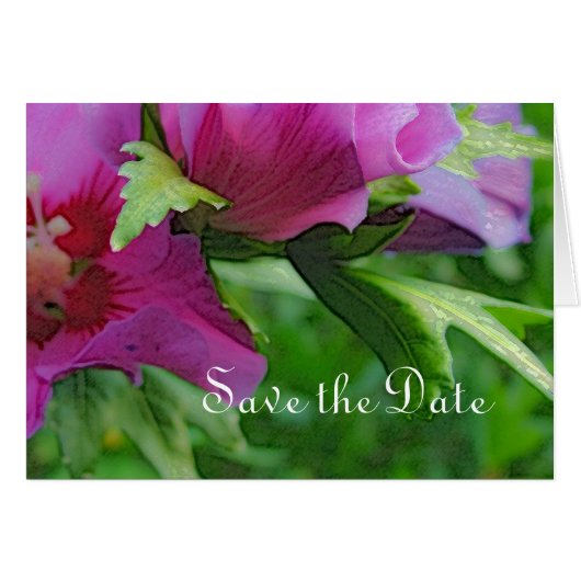 ヒビスカスの紫色の花 (正面横)