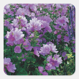 ヒビスカスの紫色の花 スクエアシール