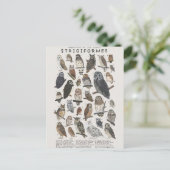 ヒブス ポストカード (スタンド正面)