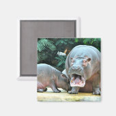 ヒポス マグネット (正面/裏面)