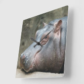 ヒポタマス時計 スクエア壁時計 (傾斜)