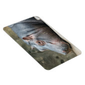 ヒポタマス磁石 マグネット (右側)