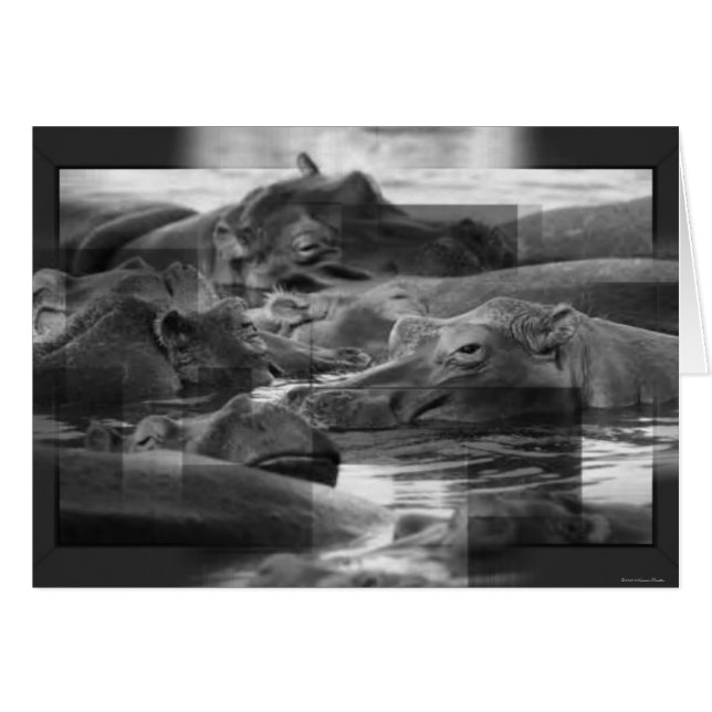 ヒポタムスカード (正面横)