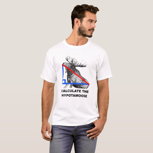 ヒポタムースを計算しよう 面白いTシャツ Tシャツ (正面フル)