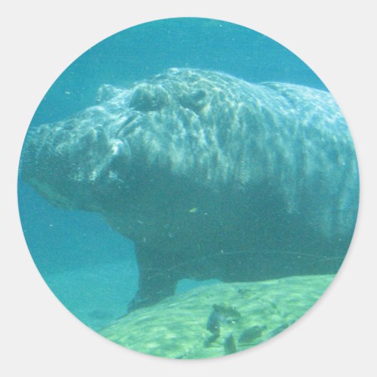 ヒポパツムハビタットシール ラウンドシール (正面)