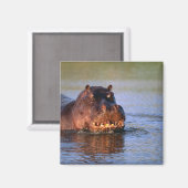 ヒポポタムス川 マグネット (正面/裏面)