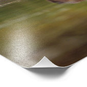 ヒマシのカナダシス・ビーバーは泳ぎに行く フォトプリント (角)