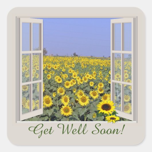 ヒマネのひまわり花が窓の窓を通り抜ける スクエアシール (正面)