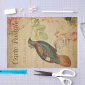 ヒマラヤのモナルキジの鳥の切り離し 薄葉紙 (クラフト)