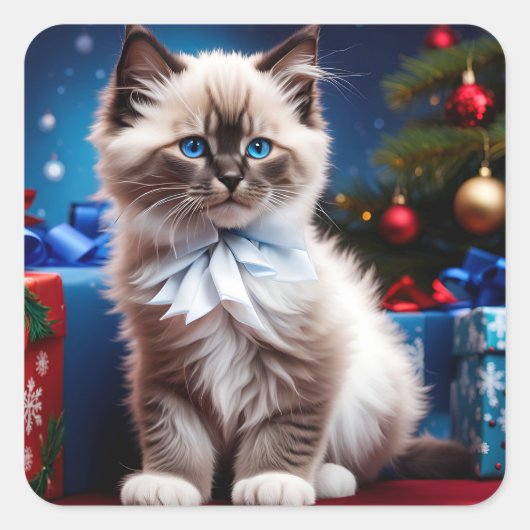 ヒマラヤの子猫クリスマスプレゼント スクエアシール (正面)