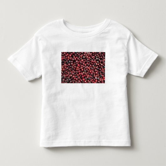 ヒマラヤの赤い実 トドラーTシャツ (正面)