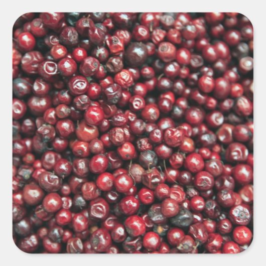 ヒマラヤの赤い果実 スクエアシール (正面)