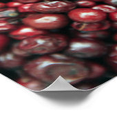 ヒマラヤの赤い果実 ポスター (角)