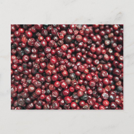 ヒマラヤの赤い果実 ポストカード (正面)