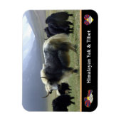 ヒマラヤの遊牧民ヤクス – チベット/ラダクヤク マグネット (縦)