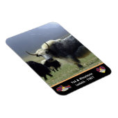 ヒマラヤの遊牧民、ヤクス-チベット/ラダック マグネット (右側)