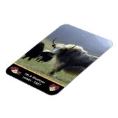 ヒマラヤの遊牧民、ヤクス-チベット/ラダック マグネット (左側)