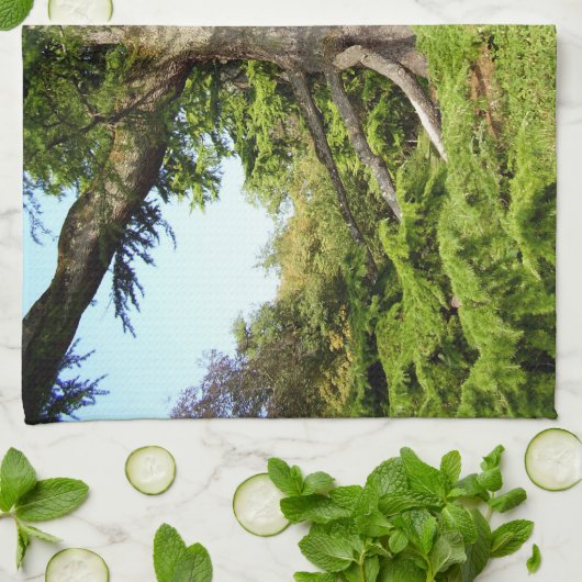 ヒマラヤスギのレバノンの木のふきん キッチンタオル (折り畳み)