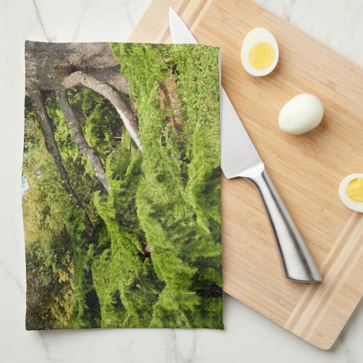 ヒマラヤスギのレバノンの木のふきん キッチンタオル (四つ折り)