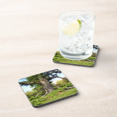 ヒマラヤスギのレバノンの木の堅いプラスチックコースター コースター (右側)