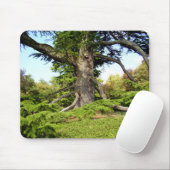 ヒマラヤスギのレバノンの木のMoueのマット マウスパッド (マウス)
