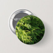 ヒマラヤスギの両掛け 缶バッジ (正面&裏面)