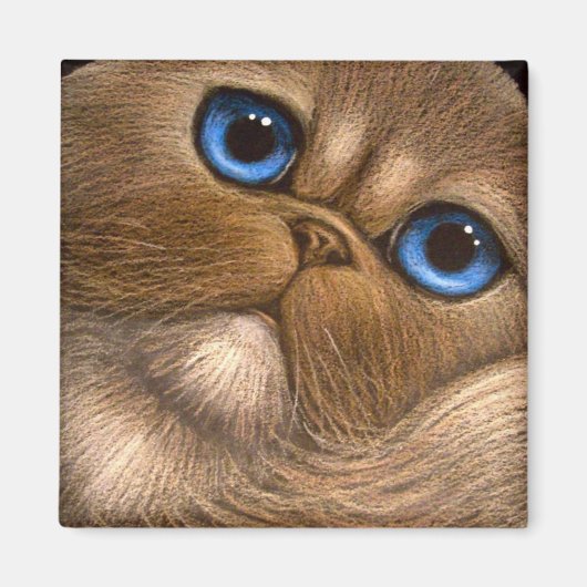 ヒマラヤペルシャ猫マグネット マグネット (正面)