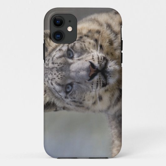ヒマラヤン+プリンス iPhone 5 Case-Mate ケース iPhoneケース (裏面)