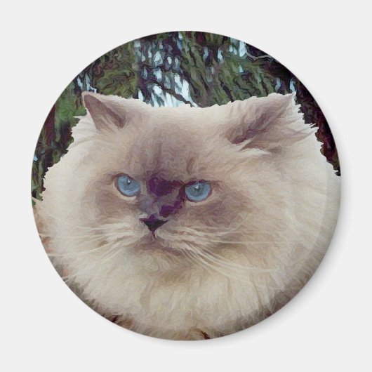 ヒマラヤン・ペルシャ猫 マグネット (正面)