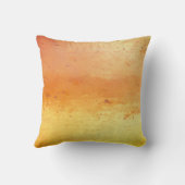 ヒマラヤ塩 クッション (裏面)