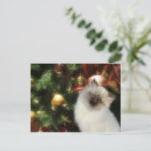ヒマラヤ子猫クリスマス シーズンポストカード (スタンド正面)