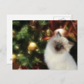 ヒマラヤ子猫クリスマス シーズンポストカード (正面/裏面)