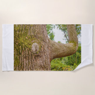 ヒマラヤ山脈のヒマラヤからビーチタオルの上の杉 ビーチタオル