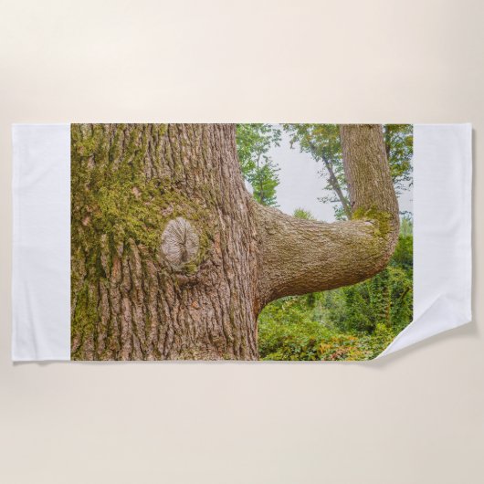 ヒマラヤ山脈のヒマラヤからビーチタオルの上の杉 ビーチタオル (正面)