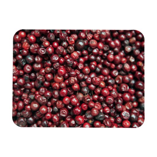 ヒマラヤ山脈の赤い漿果 マグネット (横)