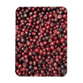 ヒマラヤ山脈の赤い漿果 マグネット (縦)