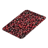 ヒマラヤ山脈の赤い漿果 マグネット (左側)