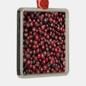 ヒマラヤ山脈の赤い漿果 メタルオーナメント (右)