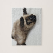 ヒマラヤ猫が仰向けに寝る ジグソーパズル (縦)