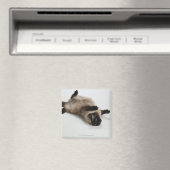 ヒマラヤ猫が仰向けに寝る マグネット (インサイチュ (食洗機))