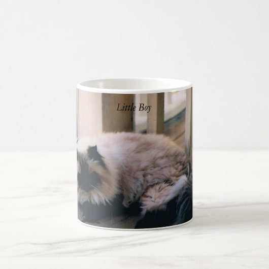 ヒマラヤ猫の写真が付いているマグ コーヒーマグカップ (中央)