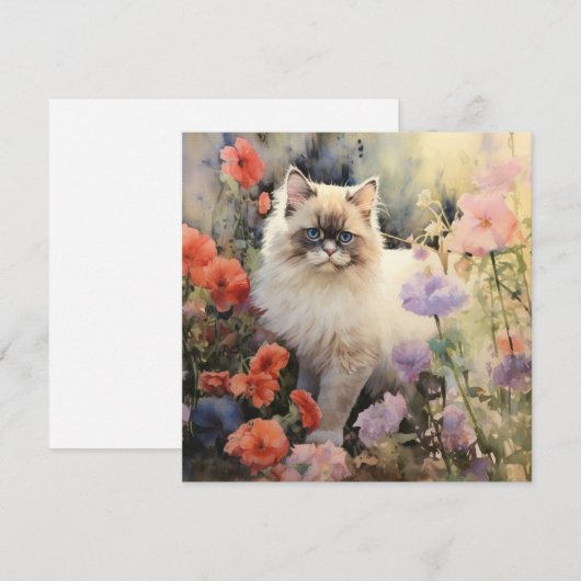 ヒマラヤ猫 シーズンカード (正面/裏面)