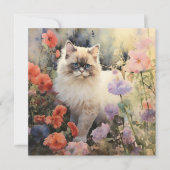 ヒマラヤ猫 シーズンカード (正面)