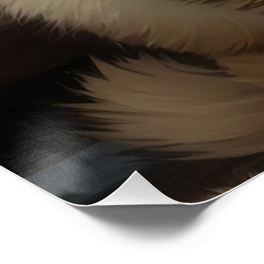 ヒマラヤ猫 ポスター (コーナー)