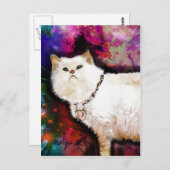 ヒマラヤ猫 ポストカード (正面/裏面)