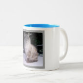 ヒマラヤ虎猫のシャムのメインのあらいぐま ツートーンマグカップ (正面右)