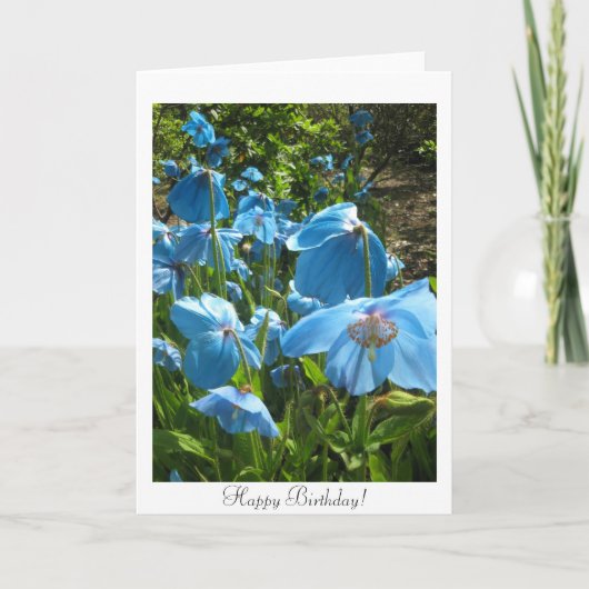 ヒマラヤ青ケシのバースデー・カード カード (正面)